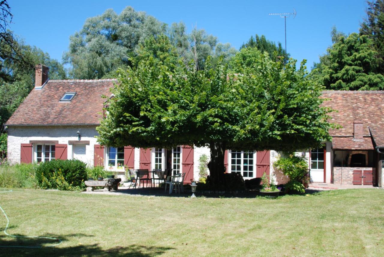 La Petite Marguerite Bed and Breakfast Chitenay Eksteriør billede