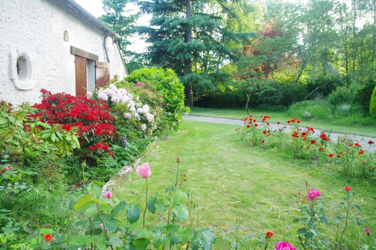 La Petite Marguerite Bed and Breakfast Chitenay Eksteriør billede