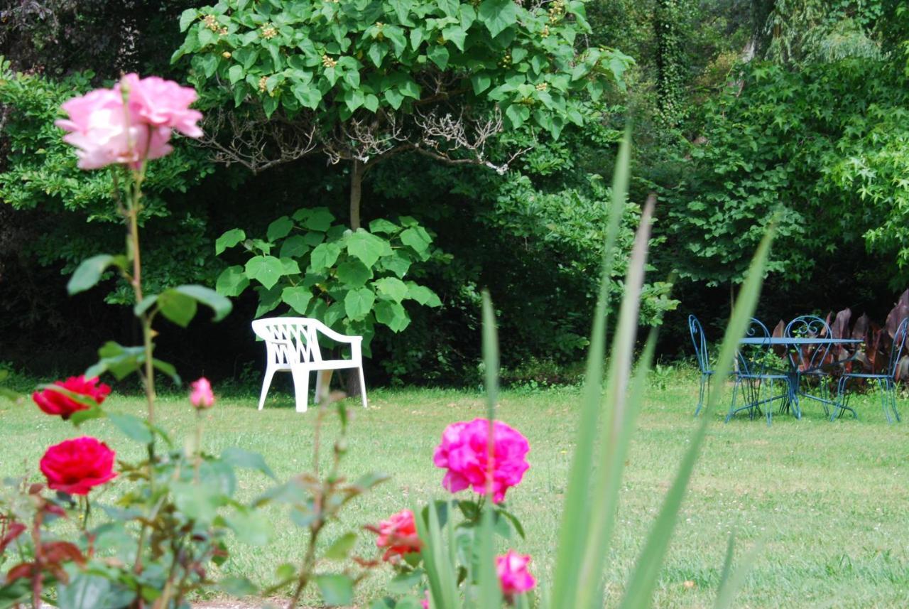 La Petite Marguerite Bed and Breakfast Chitenay Eksteriør billede
